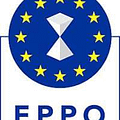 European Public Prosecutor’s Office